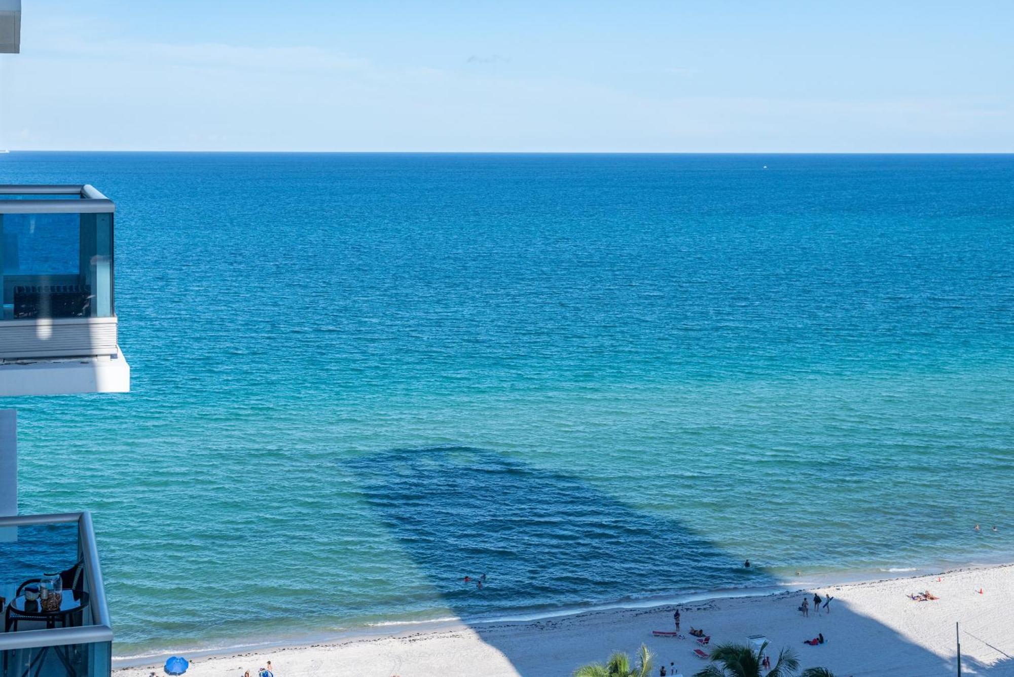 Bluebird Suites Monte Carlo Miami Beach Kamer foto